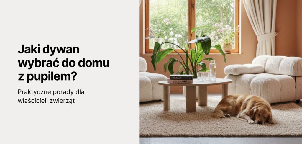 Jaki dywan do domu z pupilem