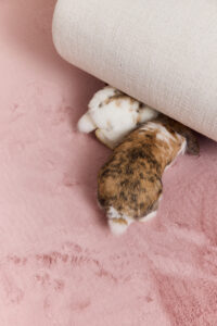 Dywan Lumi Różowy Antypoślizgowy