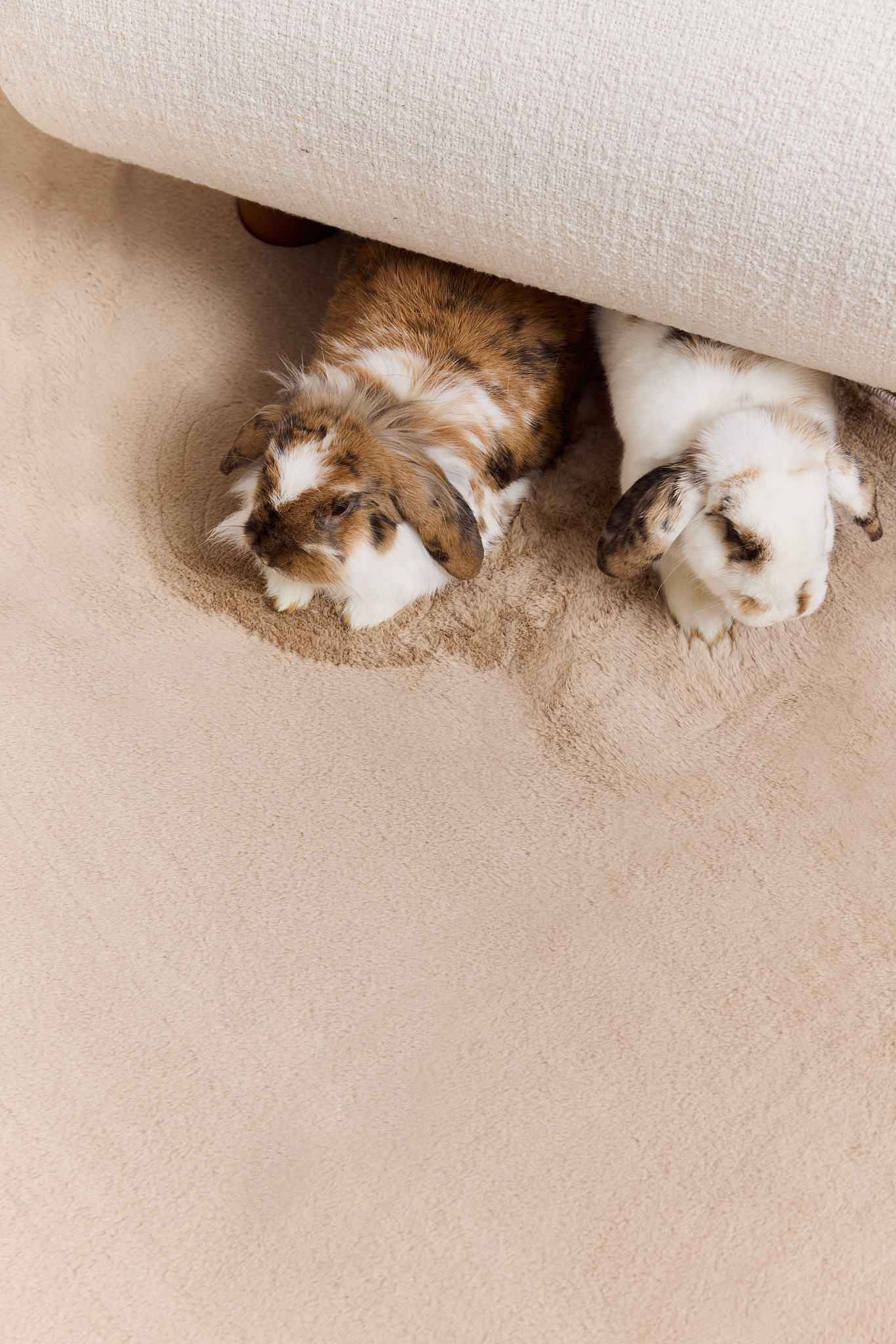 Dywan Lumi Kwadratowy Beżowy Antypoślizgowy