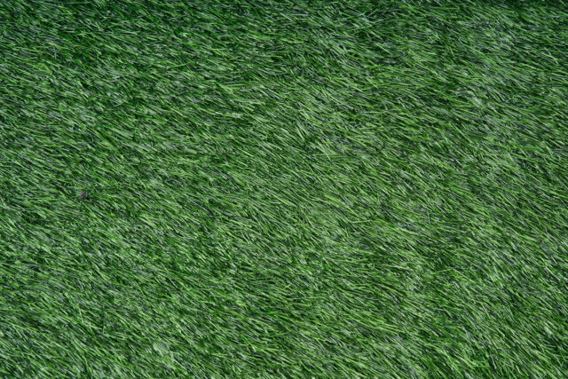 Sztuczna Trawa Verde 50mm