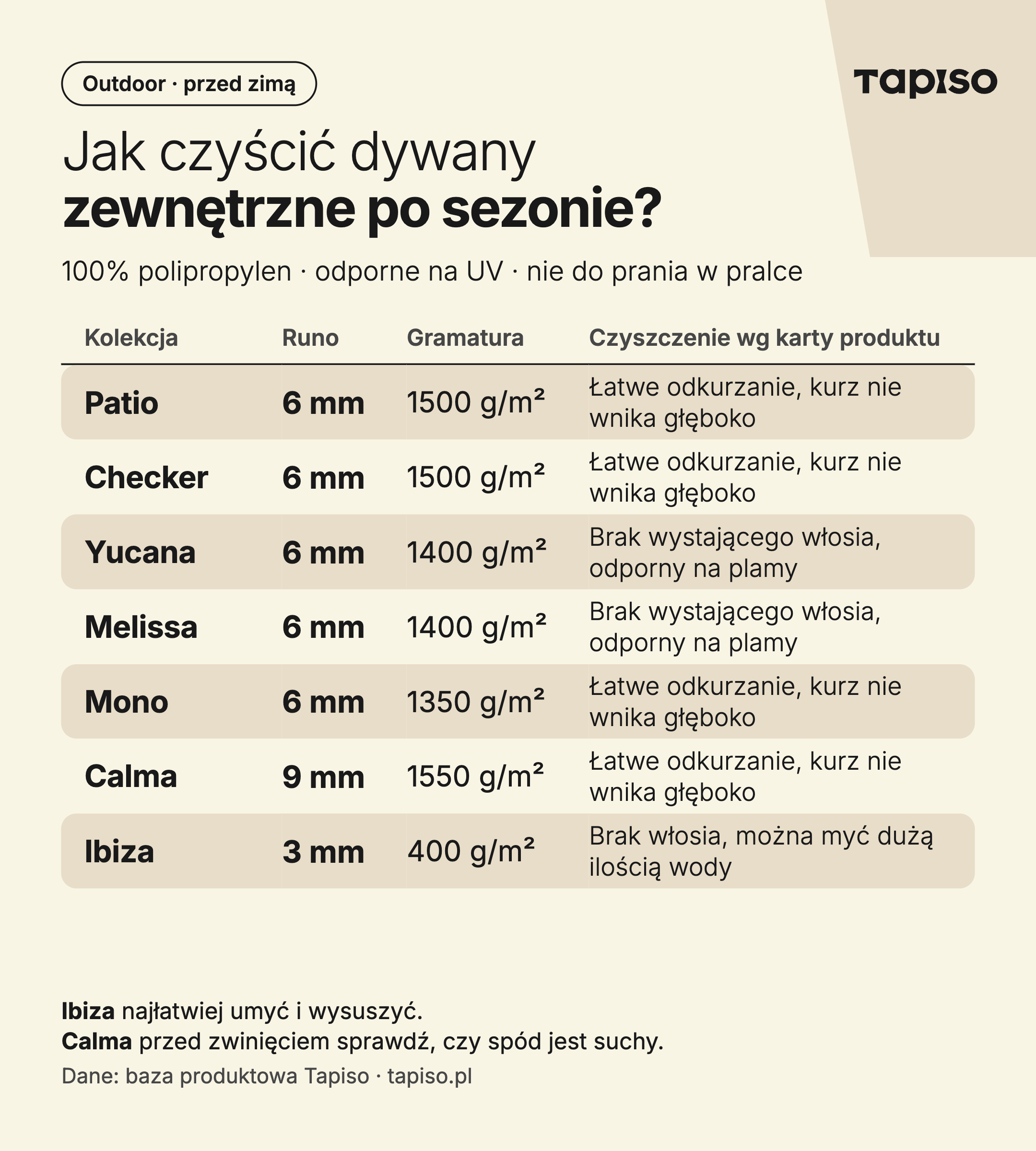 infografika o czyszczeniu dywanów zewnętrznych